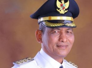 Bupati Nagan Raya M Jamin Idham. (Foto/Ist)