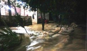 Guyuran hujan lebat menyebabkan desa-desa di Kecamatan makmur, Bireuen, dilanda banjir, Minggu malam. (Foto/Ist)