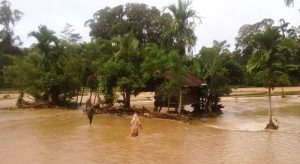 Puluhan hekatar sawah di Gampong Lupu, Mane terendam banjir luapan, Selasa (16/1/2018). (Foto/Muhammad Riza)