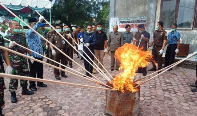 WhatsApp Image 2018-11-29 at 21.23.01 Forkompimda bersama Kejari Aceh Barat memusnahkan barang bukti berupa ganja, sabu dan ratusan botol minuman keras, Kamis (29/11/2018). (Foto/Dedi Iskandar)