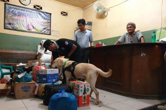 WhatsApp Image 2018-12-31 at 16.54.50(1) BNNP Aceh mengerahkan dua anjing pelacak periksa barang bawaan dan kiriman di sejumlah terminal wilayah Kota Banda Aceh. (Foto/Ist)