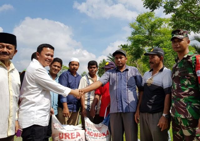 stp-1 Andi HS, memberikan bantuan subsidi tunai petani (STP) untuk pembelian pupuk para petani di Padang Tiji, Pidie. (Foto/Ist)