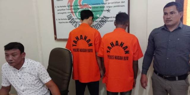 WhatsApp Image 2018-08-17 at 09.59.12 Kasat Narkoba AKP Nazaruddin memperlihatkan kedua pelaku pengedar narkoba bersama barang bukti di Mapolres Nagan Raya, Kamis (16/8/2018). (Foto/Muji Burrahman)