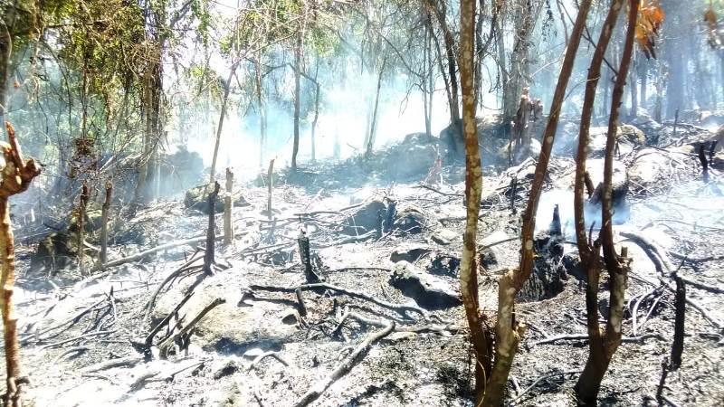 Lahan hutan lindung di kawasan objek wisata Iboih, Sabang. yang sudah terbakar. (Foto/T.Zakaria Al Bahri)