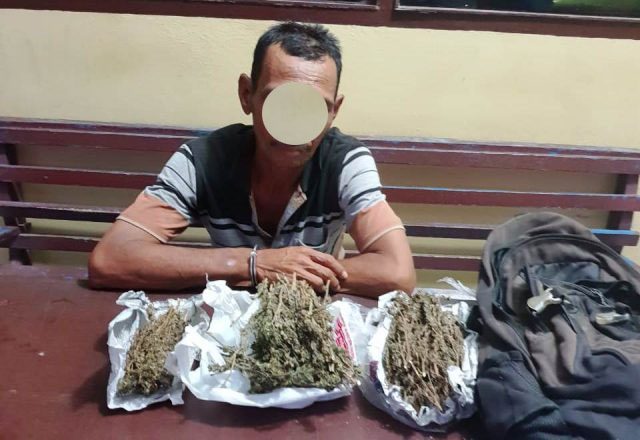 05048160-C905-4CC6-8DFC-4AF00F970E99-640x440 copy Polisi memperlihatkan tersangka pengedar ganja yang juga kuli bangunan bernama Salman, warga Kompleks Perumahan CRS, Desa Blang Beurandang, Kecamatan Johan Pahlawan, Aceh Barat, sesaat setelah ditangkap polisi di kompleks pendopo bupati di Meulaboh karena diduga kuat mengedarkan narkotika jenis ganja kepada masyarakat, Rabu (12/9) malam. Waspada/Dedi Iskandar