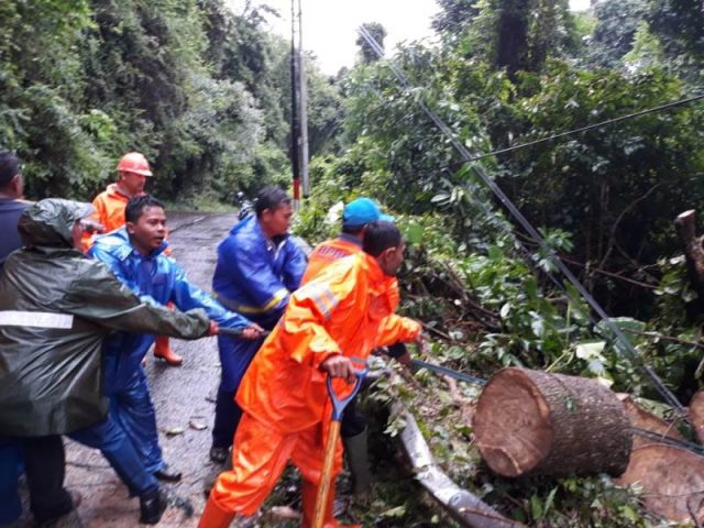 WhatsApp Image 2018-09-18 at 15.13.16 Petugas dan masyarakat tampak sedang menyingkirkan pohon tumbang di tanjakan Ujung Murong arah menuju objek wisata Iboih Sabang. (Foto/T.Zakarian Albahri)