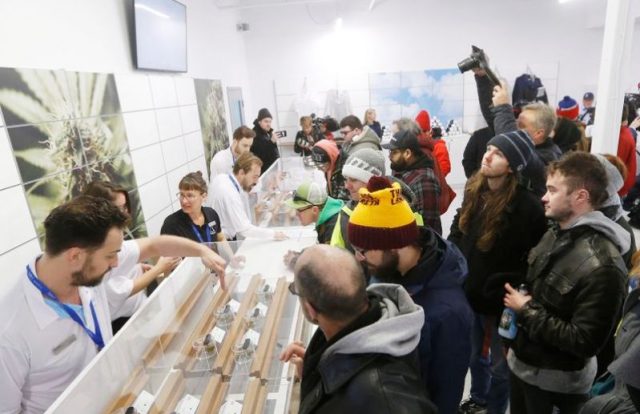 ganja Orang-orang antri di counter sampel di sebuah toko ganja di Winnipeg, Kanada. (Foto/The Canadian Press)