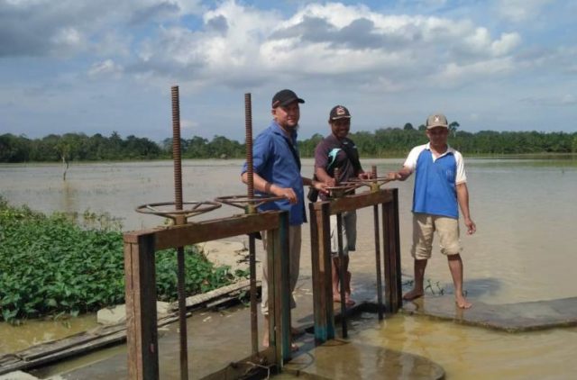 WhatsApp Image 2018-11-28 at 14.48.02 Wakil Ketua 1 KTNA Kabupaten Aceh Gamiang, Sugiono, bersama pengurus KTNA kecamatan dan Ketua Kelompok Tani kec Rantau, saat meninjau pintu air di Kampung Ingin Jaya, Kec Rantau, yang terendam banjir. (Foto/Yusri)