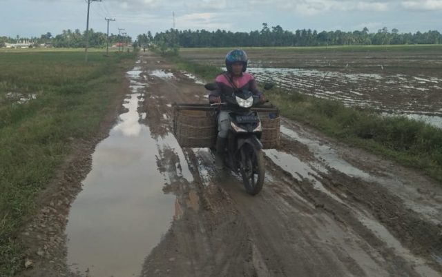 20181207_211534 Ruas jalan Kecamatan Meurah Mulia, Aceh Utara, yang merupakan jalur akses kawasan pertanian Meunje Puet, mengalami rusak berat. (Foto/zainal abidin)