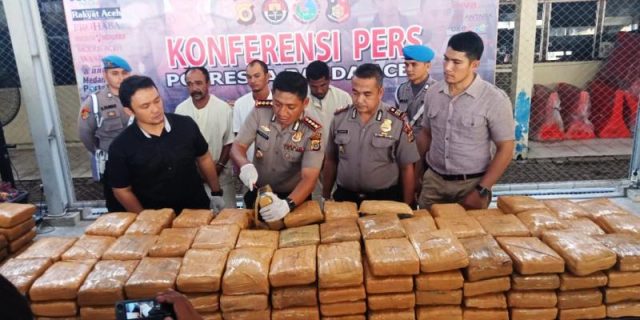 ganja Kapolresta Banda Aceh, Kombes Pol Trisno Riyanto didampingi Kasat Resnarkoba, AKP Budi Nasuha Waruwu dan Kapolsek Lueng Bata, AKP Edi Saputra, menunjukkan barang bukti ganja kepada wartawan di Mapolresta Banda Aceh. (Foto/Ist)