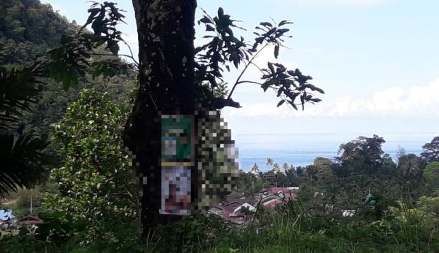 WhatsApp Image 2019-01-07 at 16.55.43 Pemasangan APS caleg di perpohonan menggunakan paku di kawasan jalan pergunungan Tapaktuan.(Foto/Faisal)
