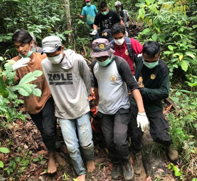 WhatsApp Image 2019-01-17 at 13.28.06 Petugas Seksi Konservasi Wilayah (SKW) II Subulussalam melalui Resor Konservasi Wilayah (RKW) Trumon bersama YOSL-OIC mengevakuasi orangutan di Titi Poben, Trumon Aceh Selatan, Senin (14/1/2019).(Foto/Ist)