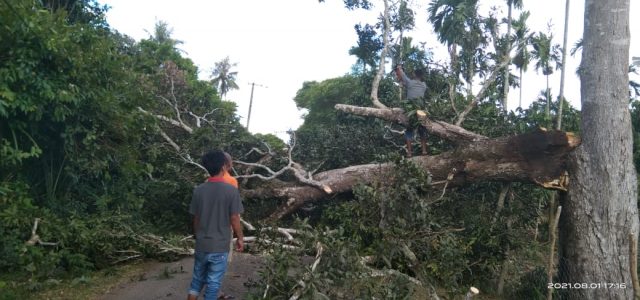 IMG-20210801-WA0012