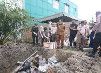 Karantina Sumut Musnahkan 222 Kg Media Pembawa Ilegal di Pelabuhan Teluk Nibung