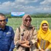 Guru Besar USK Ungkap Cara Mengolah Lahan Bekas Banjir agar Kembali Produktif