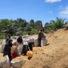 Pemasok Biomassa Hadapi Tantangan Serapan di Tengah Pengembangan Cofiring