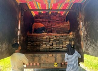 Kemenhut Tetapkan Tersangka Kasus 598 Batang Kayu Ilegal di Deli Serdang