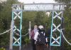 Menjelajah Mangrove Park Lampulo, Wisata Hijau di Tengah Kota Banda Aceh